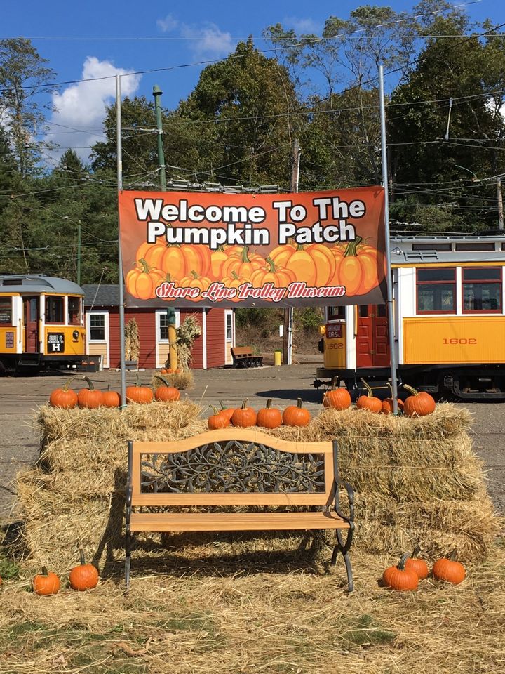Pumpkin Patch at The Shore Line Trolley Museum