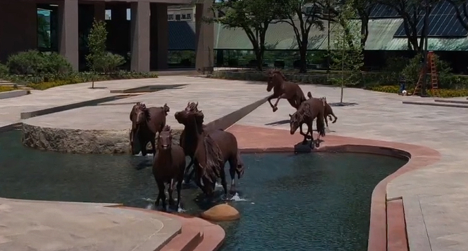 Places to Visit in Irving, TX