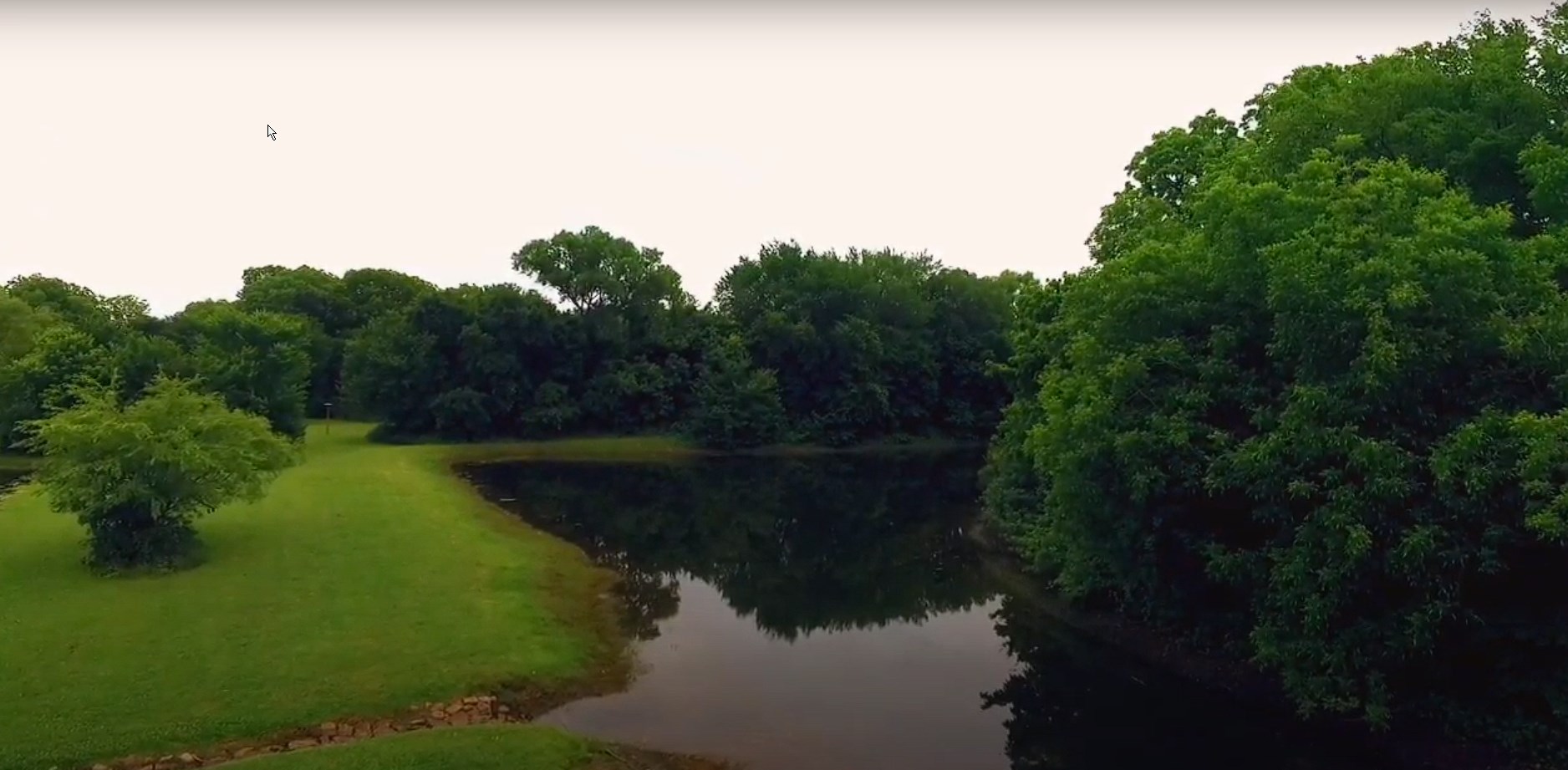Pond and trees at the Colleyville Nature Center