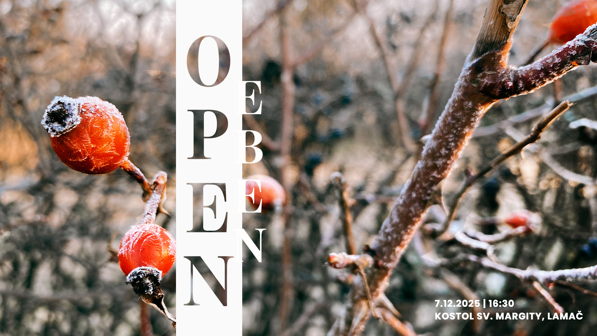 Banner Open Eben - 07.Dec.