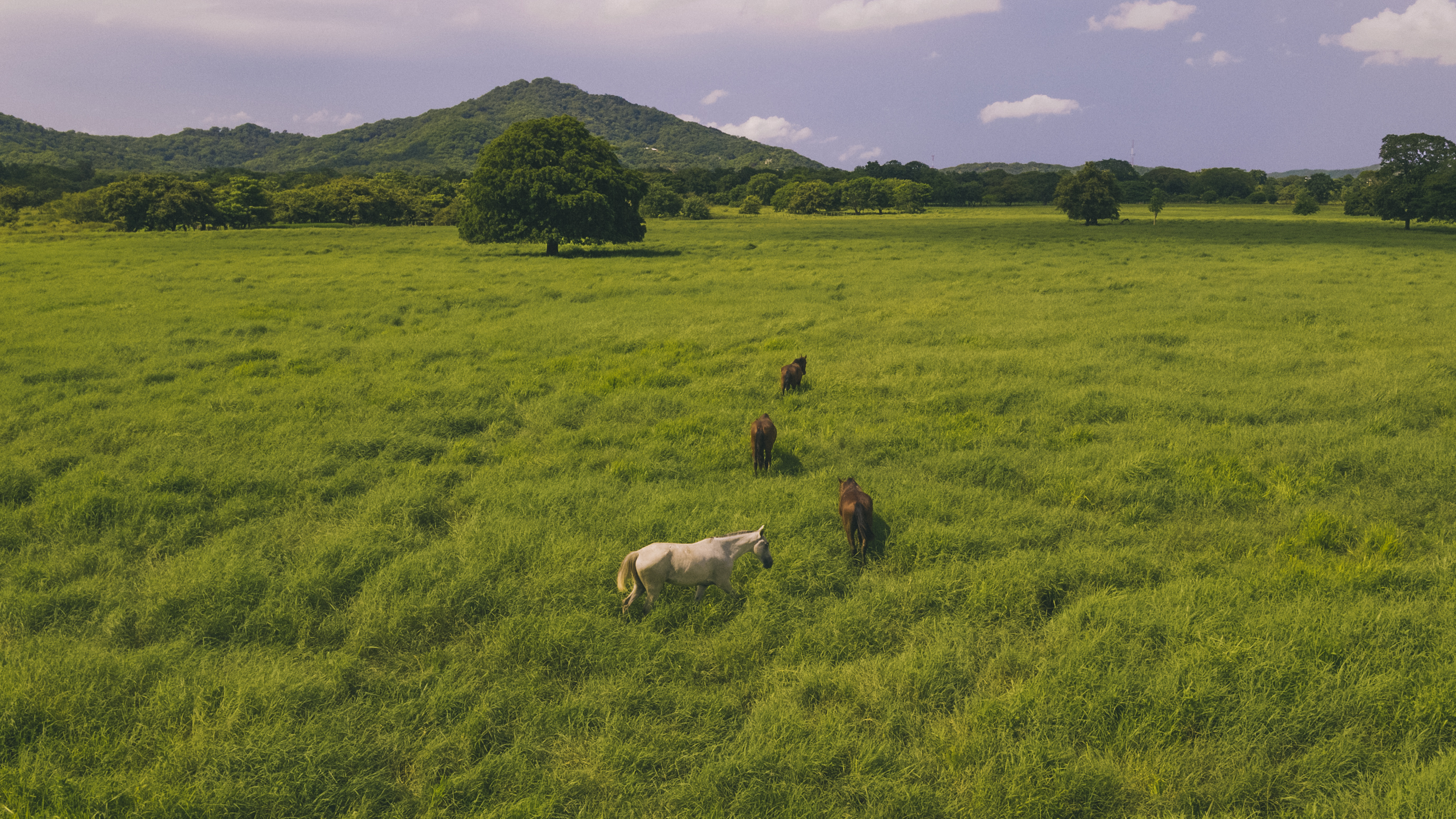 Real estate property located at Playa Minas, Cabo Velas, Playa Minas, Guanacaste, Costa Rica, Costa Rica
