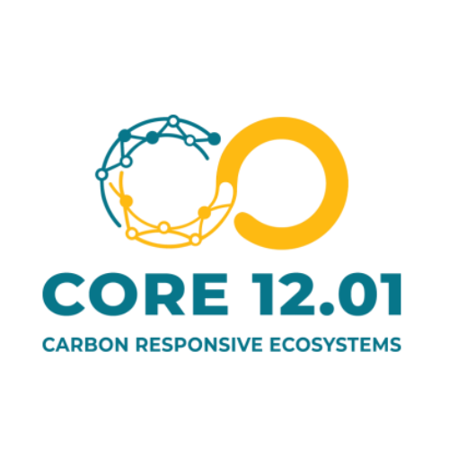 CORE 12.01 Open Call for researchers: Responsive innovation fellowship programme