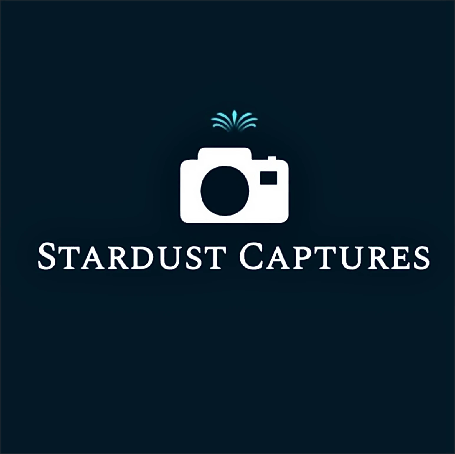 Stardust Captures