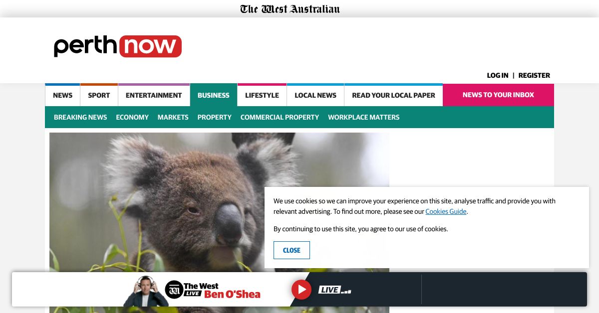 NSW not doing enough for koalas Kean