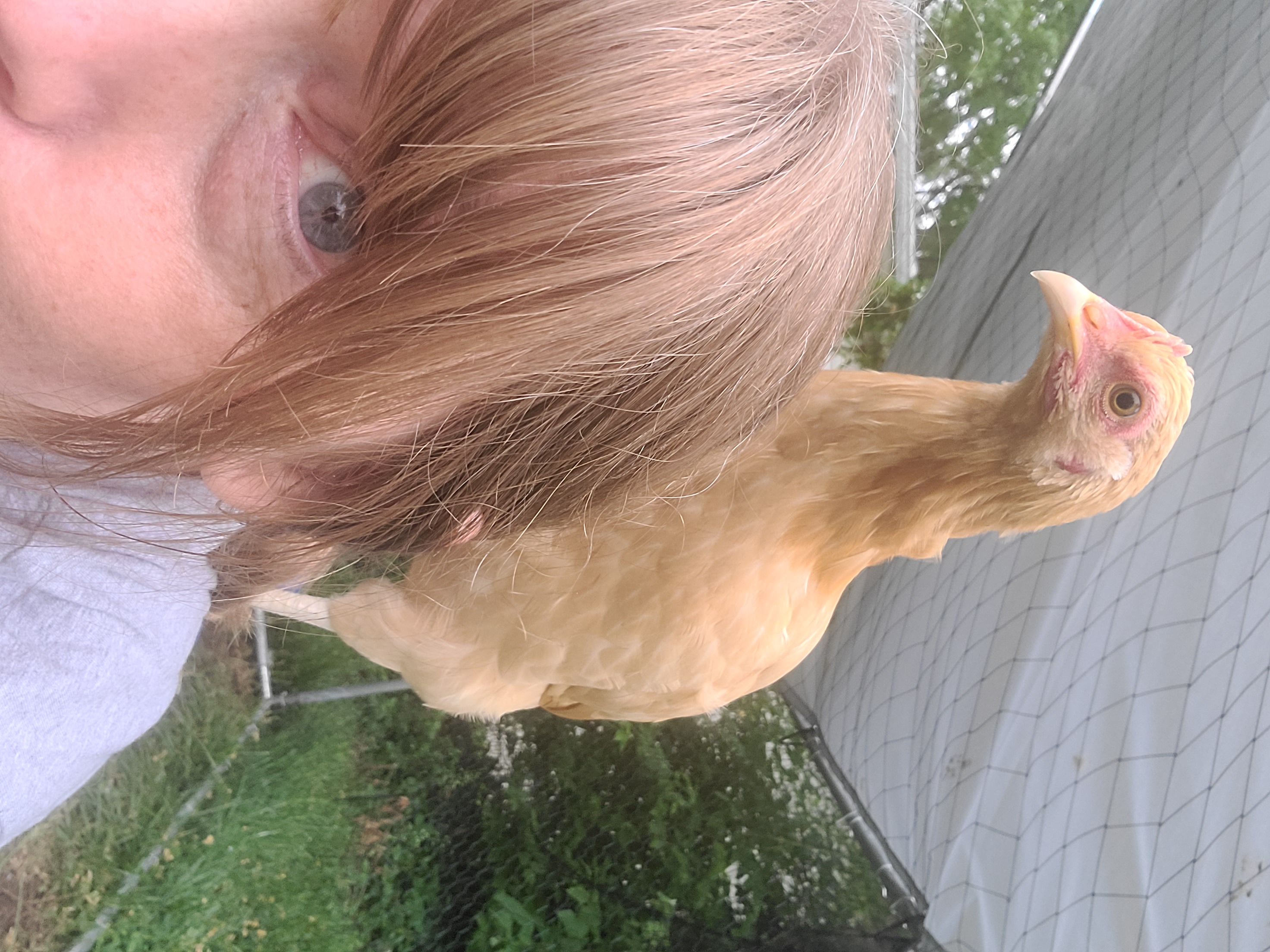 Urban Farming to Farming