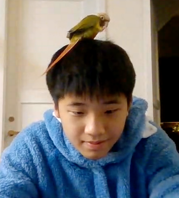 Get confessed by my crush