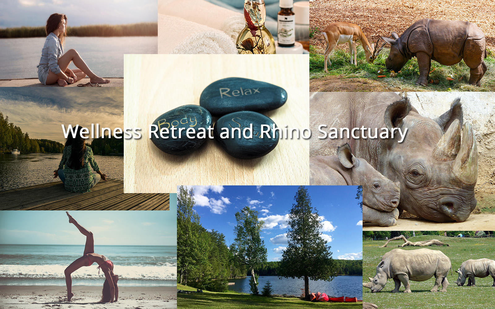 Please Help Me Save Rhinos and Heal People