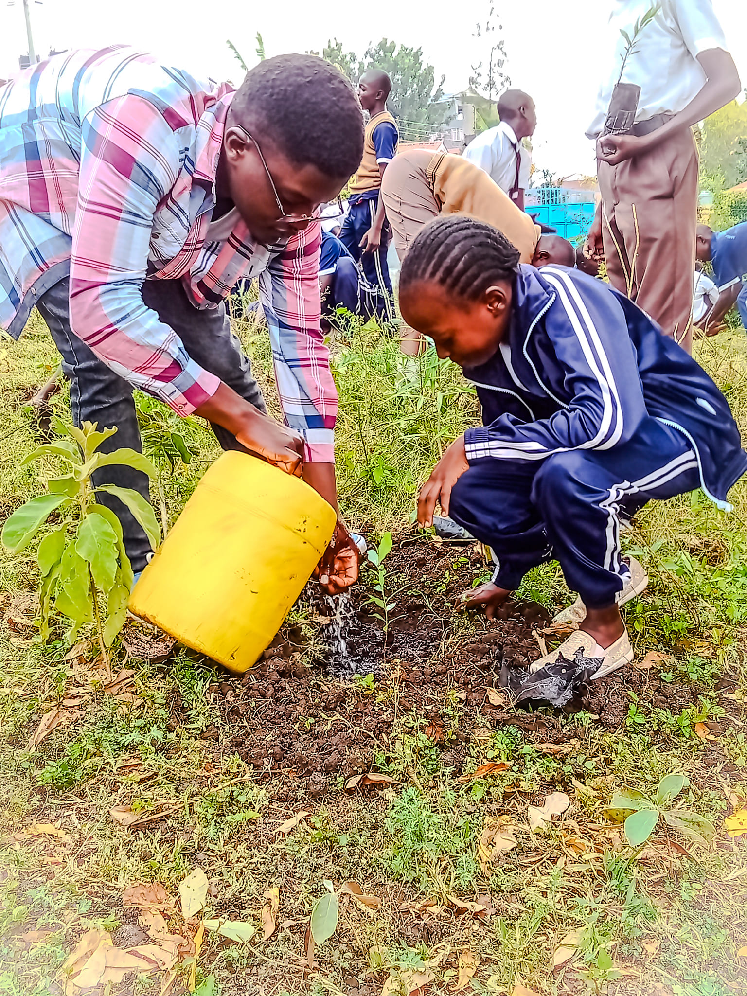 Seedlings 4 Little Kids!