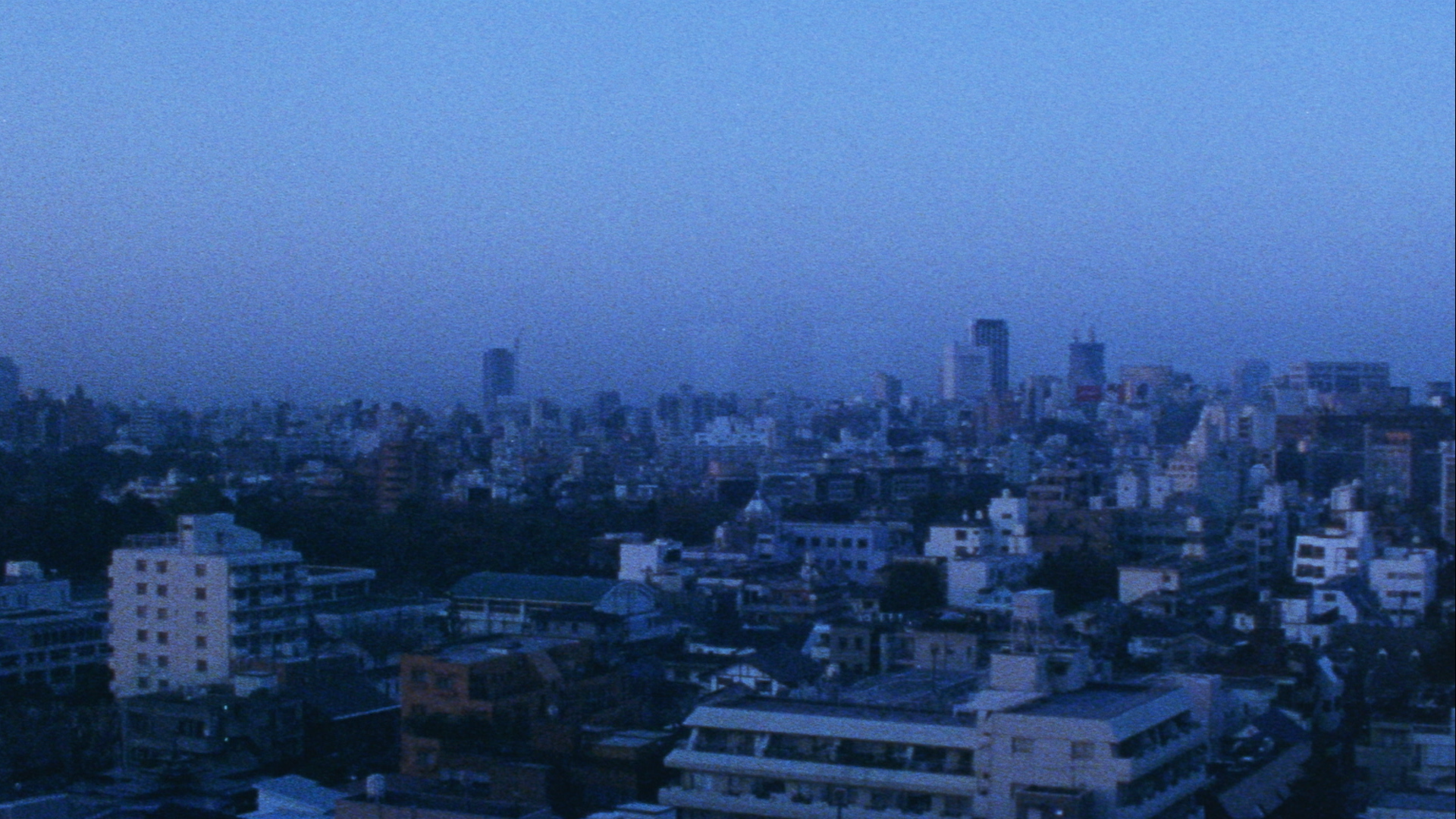 Looking for an Angel