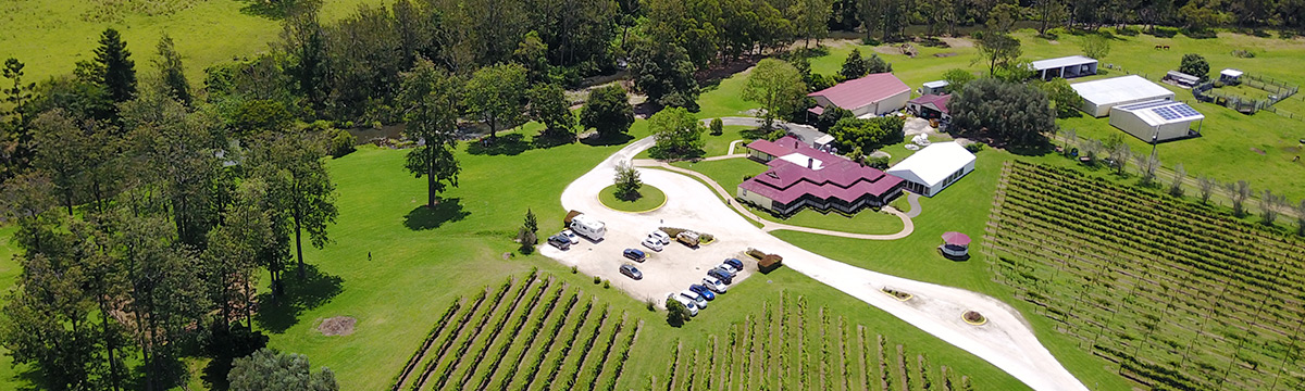 O Reilly's Rainforest Retreat