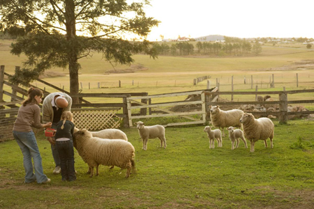 Clandulla Cottages & Farmstay