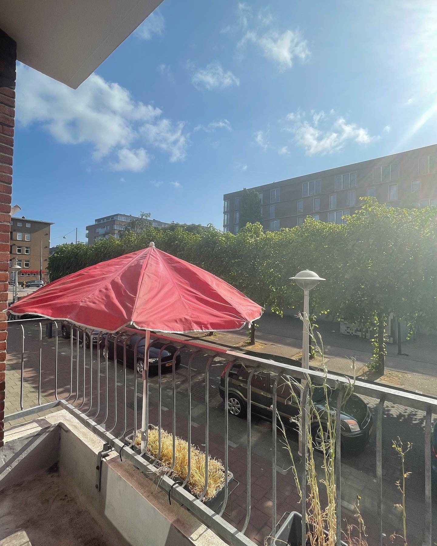 img of https://v5.airtableusercontent.com/v3/u/48/48/1766138400000/SrxjyqIvX1BPe5WTEBS2Ug/xBAqaLSNiBv0dM9wEPKbyx1jQ6OteXKD9WjBU7PewLePgcvCaZSndK7SOWs7wsghxuMXmULQA6T46f2QdAFd3Risg4mIoQ08jX71DFPC3UJJWGDYPSLKHrOUtZ57p1aw261cmoFnynaiZM_Q4rwe8A/_kyExK76Vw5_cxIQzvFEqO15-AEsdUxTOckHOT3QenA