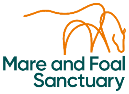 The Mare and Foal Sanctuary - Helpline