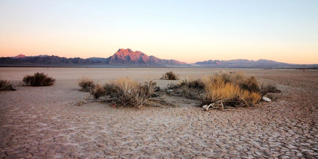 cracking desert ground with a few dry shrubs and the sun setting on a mountain in the background