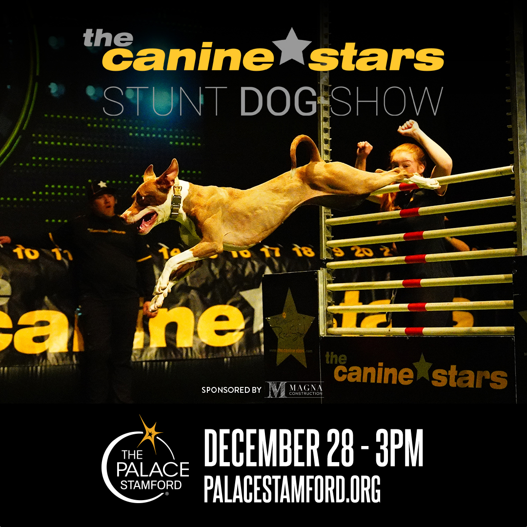 The Canine Stars coming to the Palace Theatre Stamford on December 28th.