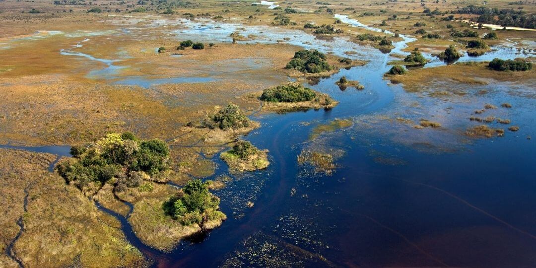 wetland ecosystem with water covering browning grassland and flooding the field