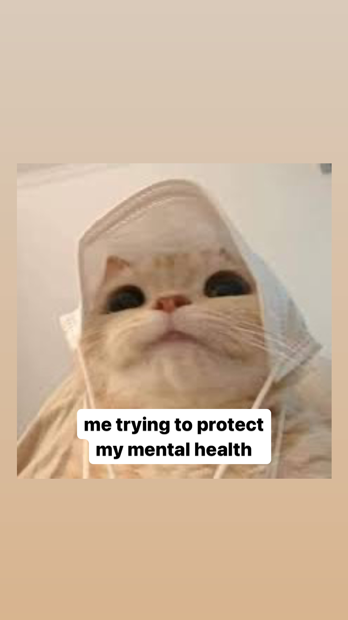 Mental Health Meme