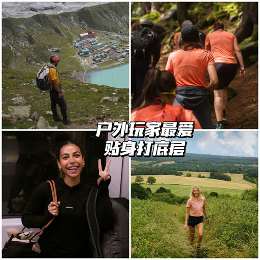 【喵喵推荐】美利奴羊毛领头羊