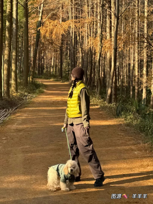 【今晚结束】始祖鸟5折起