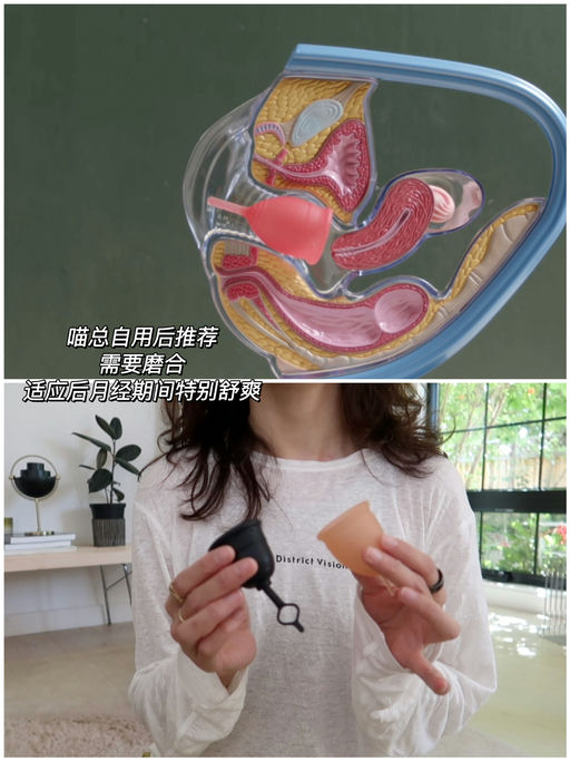 【喵总自用后推荐】最好价8折