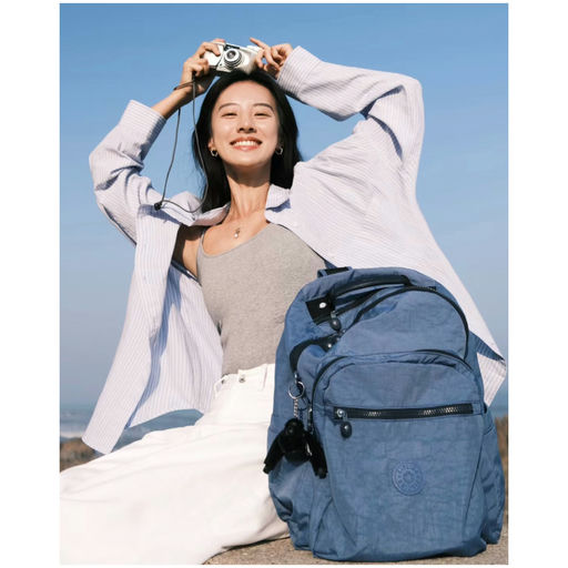 【55折】赵昭仪同款，$66