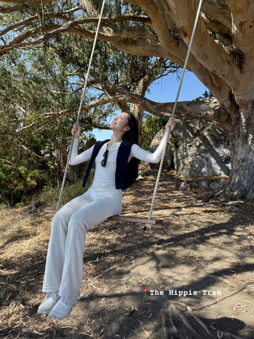 【神裤下折】【喇叭款，更好看】