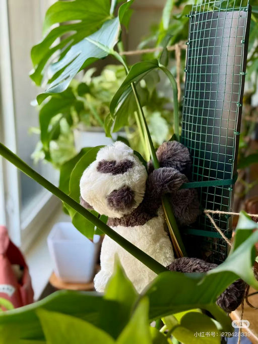 【软趴趴超好rua～】Jellycat新品史玛吉熊猫