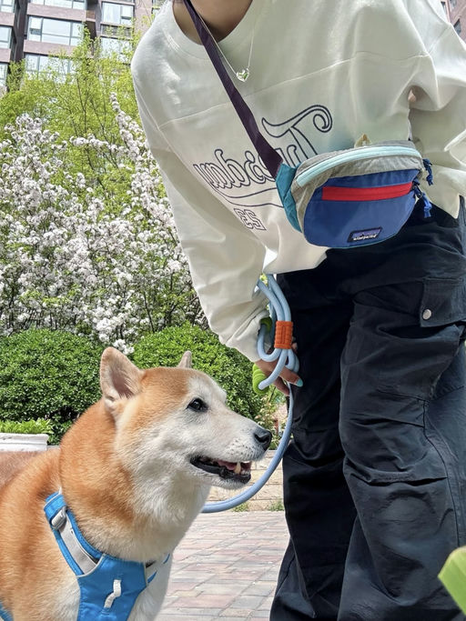 【Pata大促】Black Hole腰包，史低$23，免运！