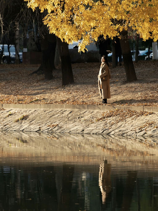 🧣【6折围巾大衣】【火遍中欧韩】