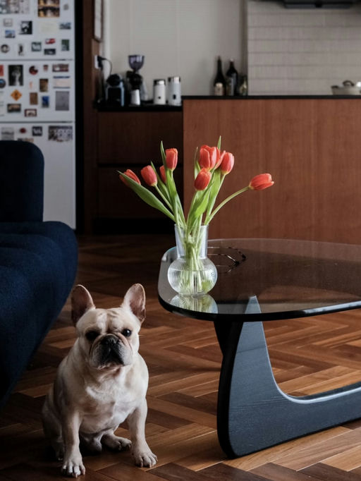 【全年最好折】【dwr 75折】