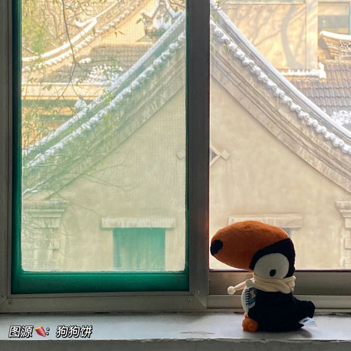 【珍稀品种】Jellycat新品速报