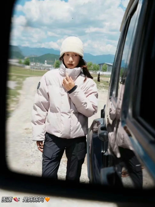 【合7x折】大鹅加新