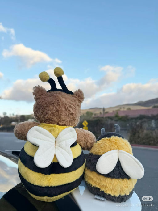 【来不及多说！】蜜蜂熊突发上线！