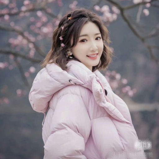 【白标大鹅65折】毛晓彤同款