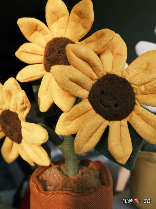 【当季顶流】随时断