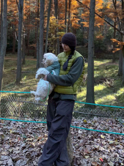 【今晚结束】始祖鸟5折起