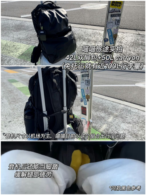 【史低7折】喵总免托运法宝