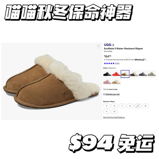 【喵喵秋冬保命神器】紧俏补货