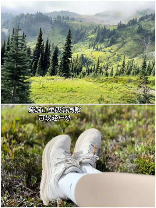 【75折】喵总同款