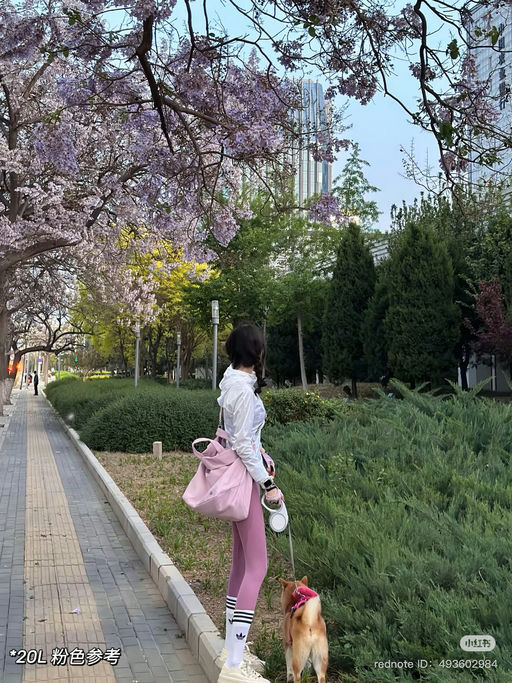 【差旅搭子】小🍠热门