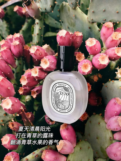 【近期最低】喵总推荐，夏日刚需