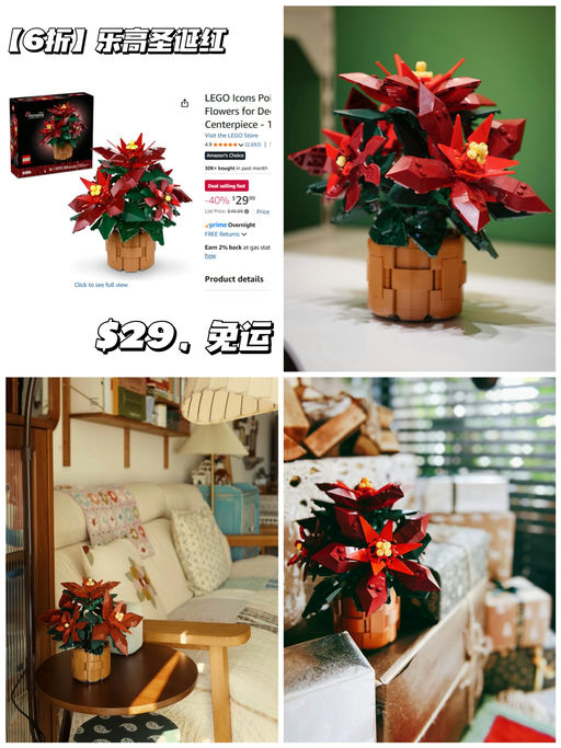 🌺【圣诞红盆栽】【只要 $29】