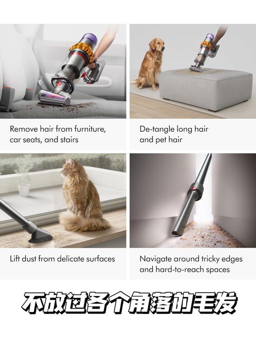 💨【快，好过黑五！】【Dyson V15】