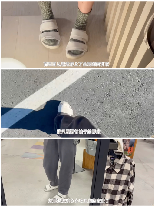 🐑【美利奴尝鲜佳选】【$26，免运】