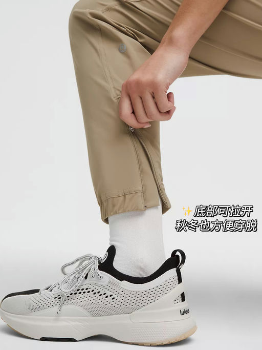 📕【超多好评款】【$79，免运】