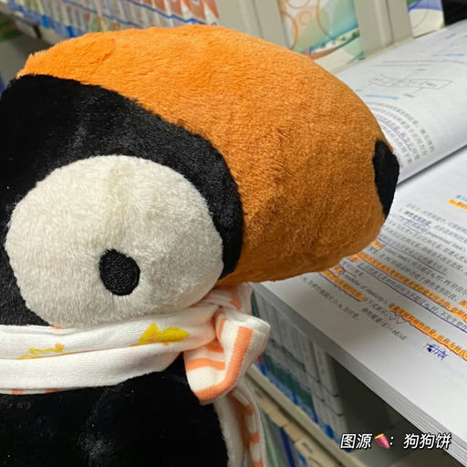 【珍稀品种】Jellycat新品速报