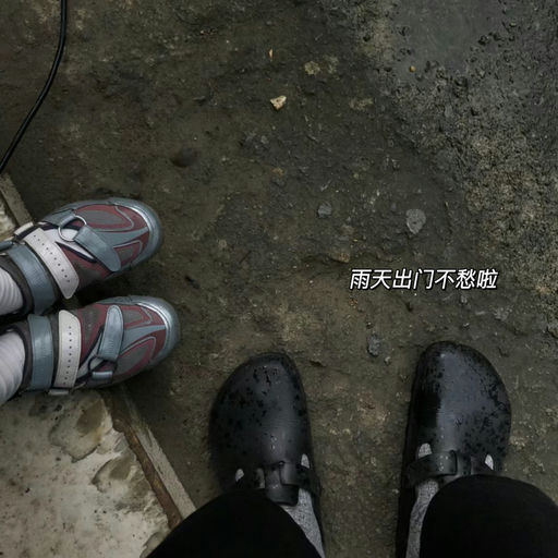 【上架以来最好价】喵喵同款