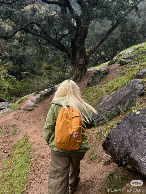 【有断货色！】喵总和好友人手一只