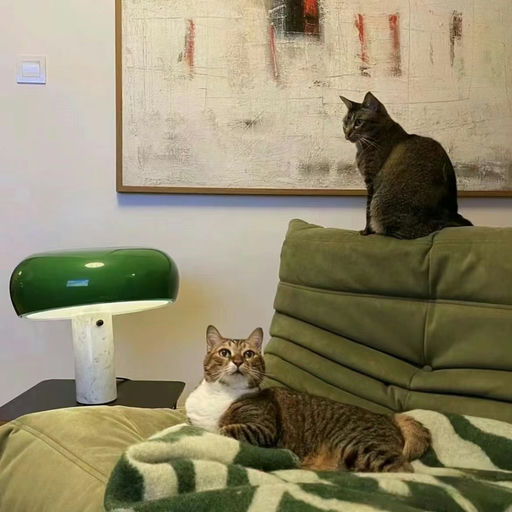 【建群以来首次】Ligne Roset，8折