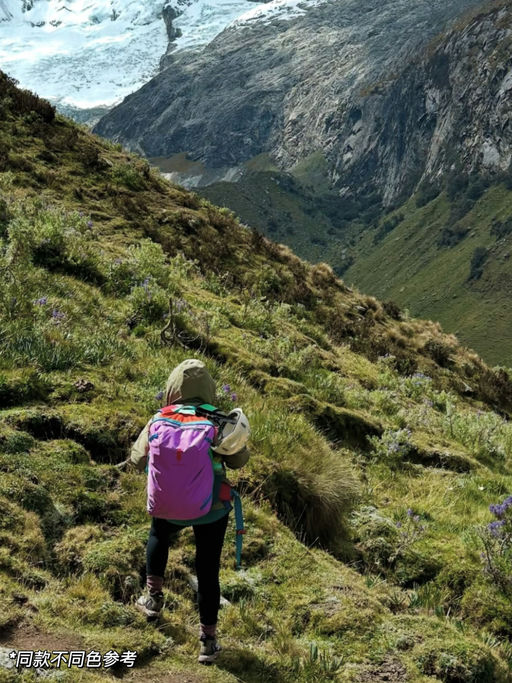 【史低7折】喵总免托运法宝